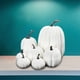 thumbnail image 2 of Advancent 7x Calabazas de imitación a granel para un elegante centro de de boda de otoño Kits de decoración para fiestas Blanco, 2 of 6