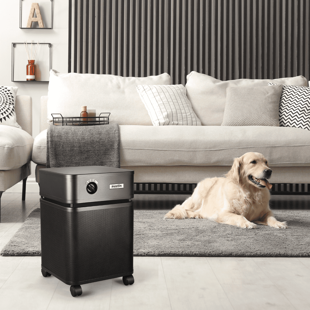 Austin Air Haelthmate Air Purifier, Black