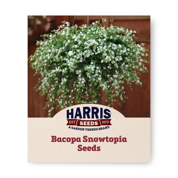 Harris Seeds Bacopa Snowtopia, White Flowers, Multi-Pelleted, 10 Count