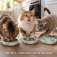 thumbnail image 4 of CRAZYMALL Silicone Slow Feeder Cat Bowls 3-Pack, 16 Suction, Non-Slip, Dishwasher Safe, 4 of 11