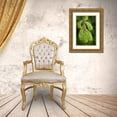thumbnail image 3 of Mahan, Kathy 23x32 Gold Ornate Wood Framed with Double Matting Museum Art Print Titled - Douglas Fir Growth I, 3 of 4