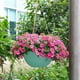 thumbnail image 4 of Hanging Rattan Medium Sized Hanging Basket Planter Water Barrier Designs No Rotten Rootss For Gardening And Home Decorating, 4 of 6