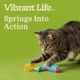 thumbnail image 4 of Vibrant Life Rolling Springs Cat Toys, 3 Pack, 4 of 8