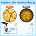 thumbnail image 5 of Microscope for Kids, 200X-1200X Kids Educational Toys Optical Compound Biological Microscope, Science Kits for Kids, Beginner Microscope Kit with Phone Adapter & Slides, Gift for Boys Girls Age 6+, 5 of 9