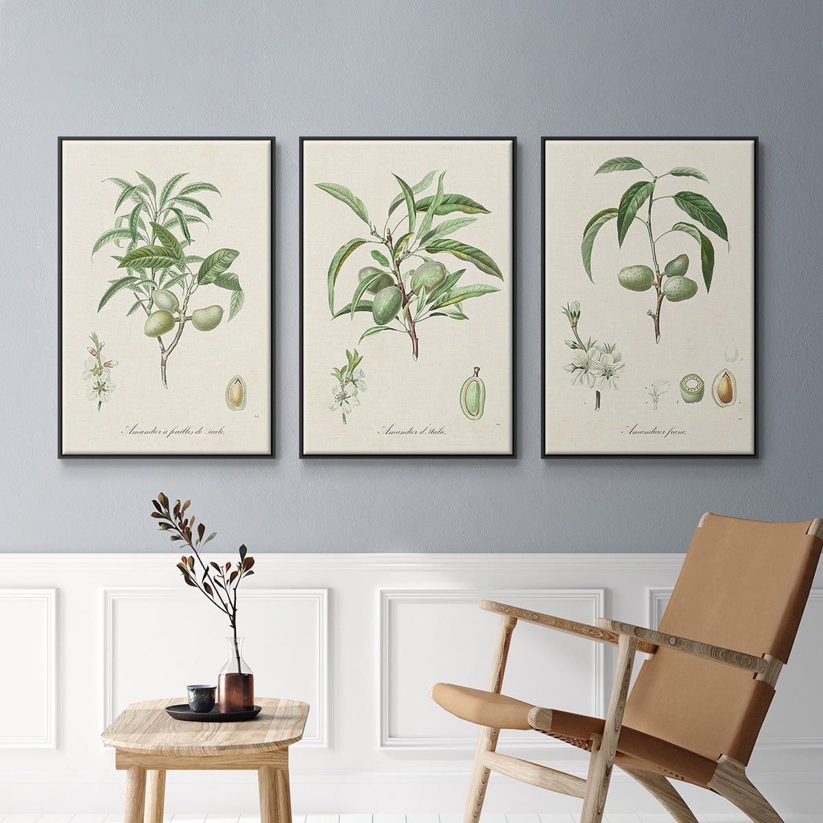Antique Almond Botanical I - Framed Premium Gallery Wrapped Canvas L Frame 3 Piece Set - Ready to Hang