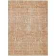thumbnail image 2 of HomeRoots 603368 8 x 10 ft. Salmon & Terra Cotta Damask Washable Indoor & Outdoor Rectangle Area Rug, 2 of 5