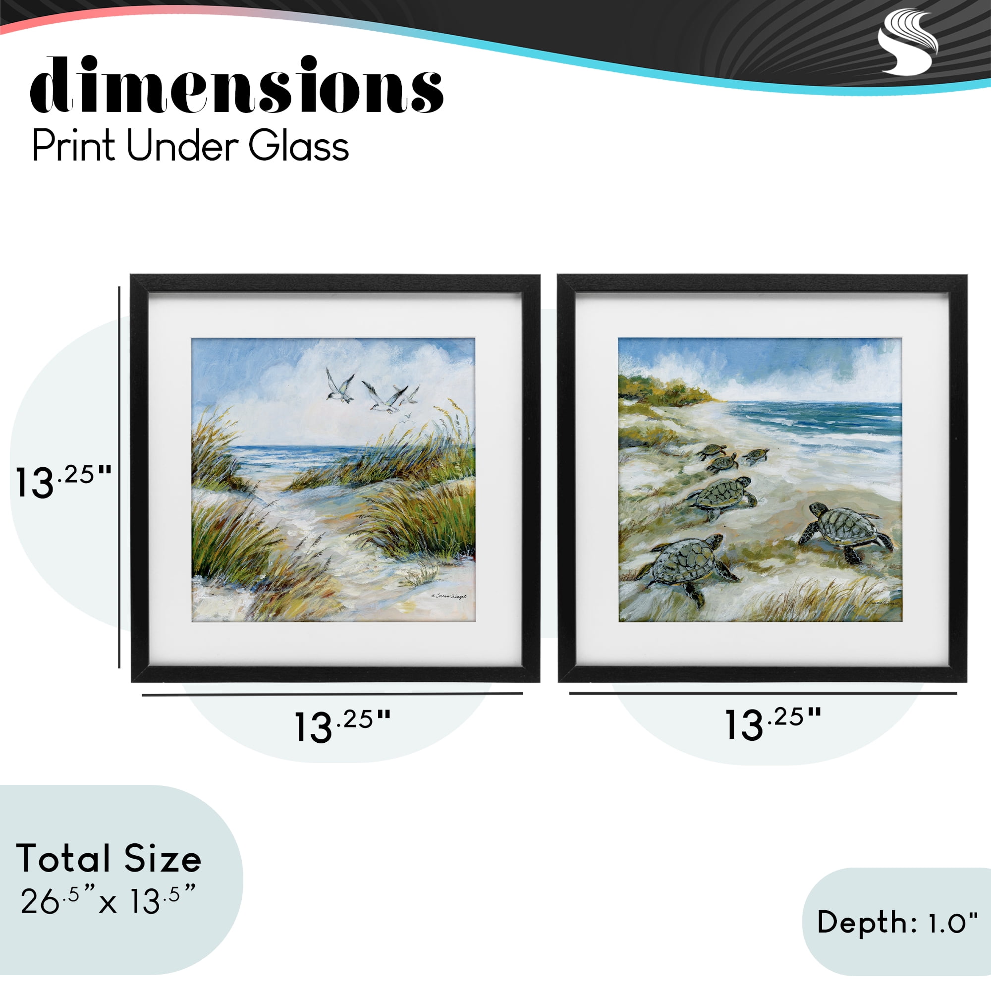 Stupell Industries Beach Creatures on Dunes 2 Piece Black Framed Print Under Glass Set, design by Susan Winget
