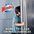 thumbnail image 3 of Windex Disinfectant Cleaner Multi-Surface Spray, 2 ct, 23 fl oz, 3 of 5