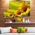 thumbnail image 3 of Tournesols de Toscane sur Fond Vert - Impression sur Toile Florale, 3 of 4