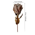 thumbnail image 3 of Flowers Classic Dried South African for Natural Texture and Longevity 1969 Inch Ready Home Enhancer, 3 of 6