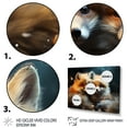 thumbnail image 3 of Designart "Cute Fox's Gaze in the Springtime II" Animals Framed Wall Art Decor - Modern Farmhouse Black Fox Entryway Framed Wall Art Print, 3 of 6