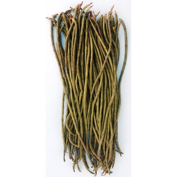 Yard Long Bean - Dark Green - 6 g Packet ~30 Seeds - Non-GMO, Heirloom - Asian Garden Vegetable