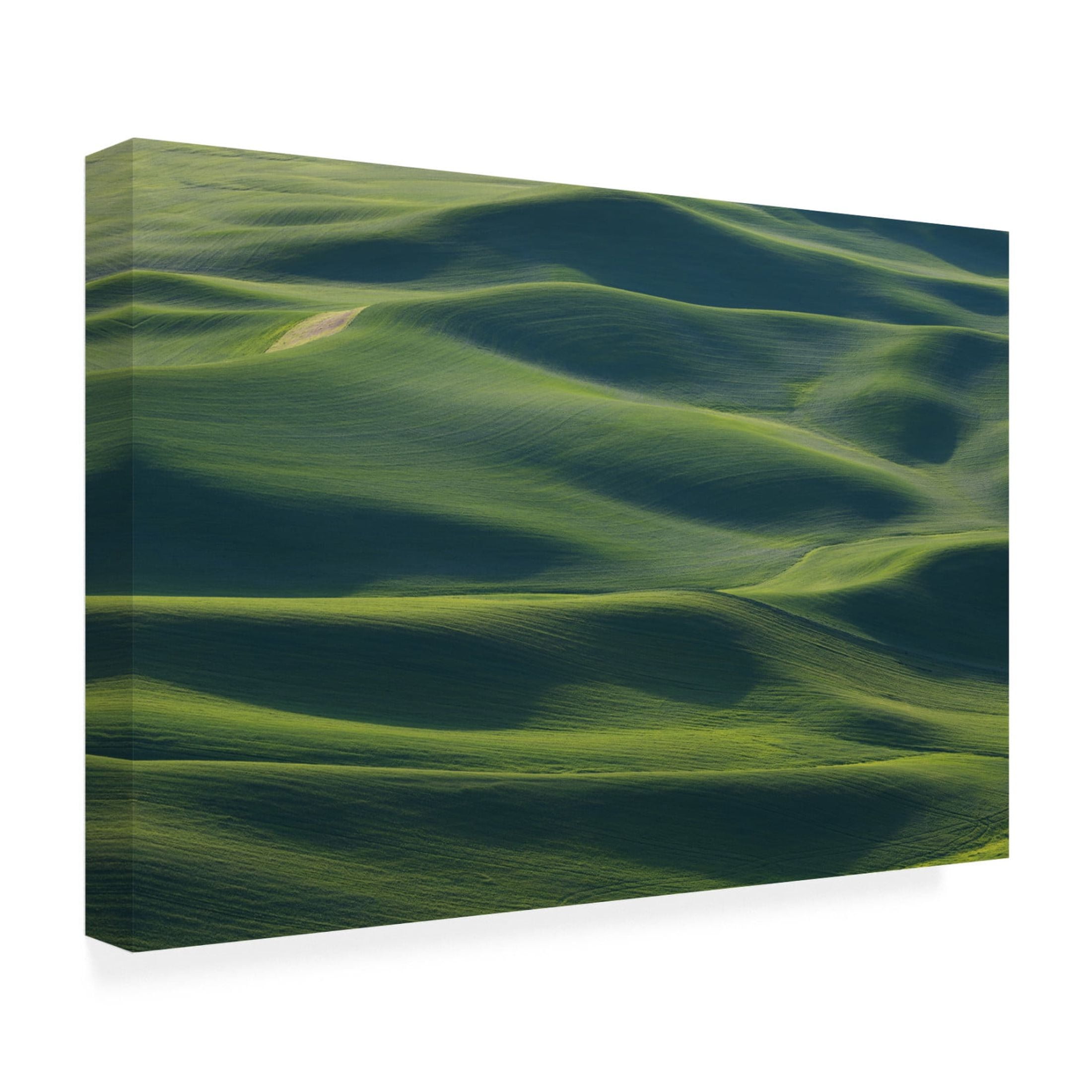 Canvas Wall Art - ??? / Austin 'The EarthS Fine Skin' Wall Art for Living Room, Bedroom, or Office D?cor by Trademark Fine Art - 19 x 12 Inches