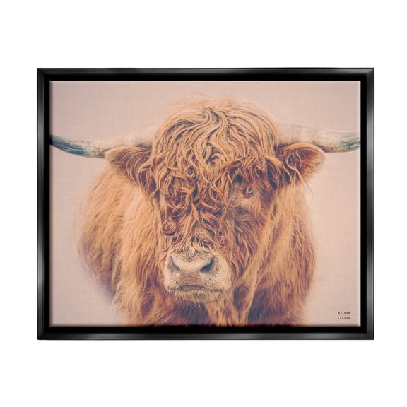 Stupell Industries Highland in Winter Fog Brown Cow Photograph Jet Black Floating Framed Canvas Print Wall Art, Design by Nathan Larson