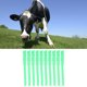 thumbnail image 5 of Bandas De Identificación De Vacas, Collares De Identificación De Ganado De Plástico De Primera, Resistentes A La Corrosión, Duraderos Y Seguros, Con 4 Opciones De, 5 of 7