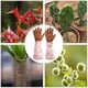 thumbnail image 4 of Guantes de cuero de rosa para jardinería, guantes de rosa extendidos para mujer, jardín de poda para madre y abuela, regalos de jardinería kaili Sencillez, 4 of 4