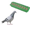 thumbnail image 3 of 2PCS Pigeon House Food Crib Plastic Pigeon Feeding Trough Thickening Pigeon Feeding Slot New Pigeon Food Box for Home Pet Store (Random Color), 3 of 3