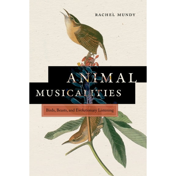 Music / Culture Animal Musicalities: Birds, Beasts, and Evolutionary Listening, (Paperback)