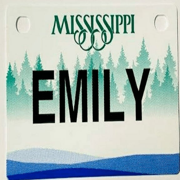Emily Mini Bike Plate Add On Accessory