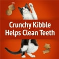 thumbnail image 6 of (3 pack) Purina Friskies Party Mix Gravy-licious, Cat Treats, Chicken & Gravy, 6 oz Bag, 6 of 13