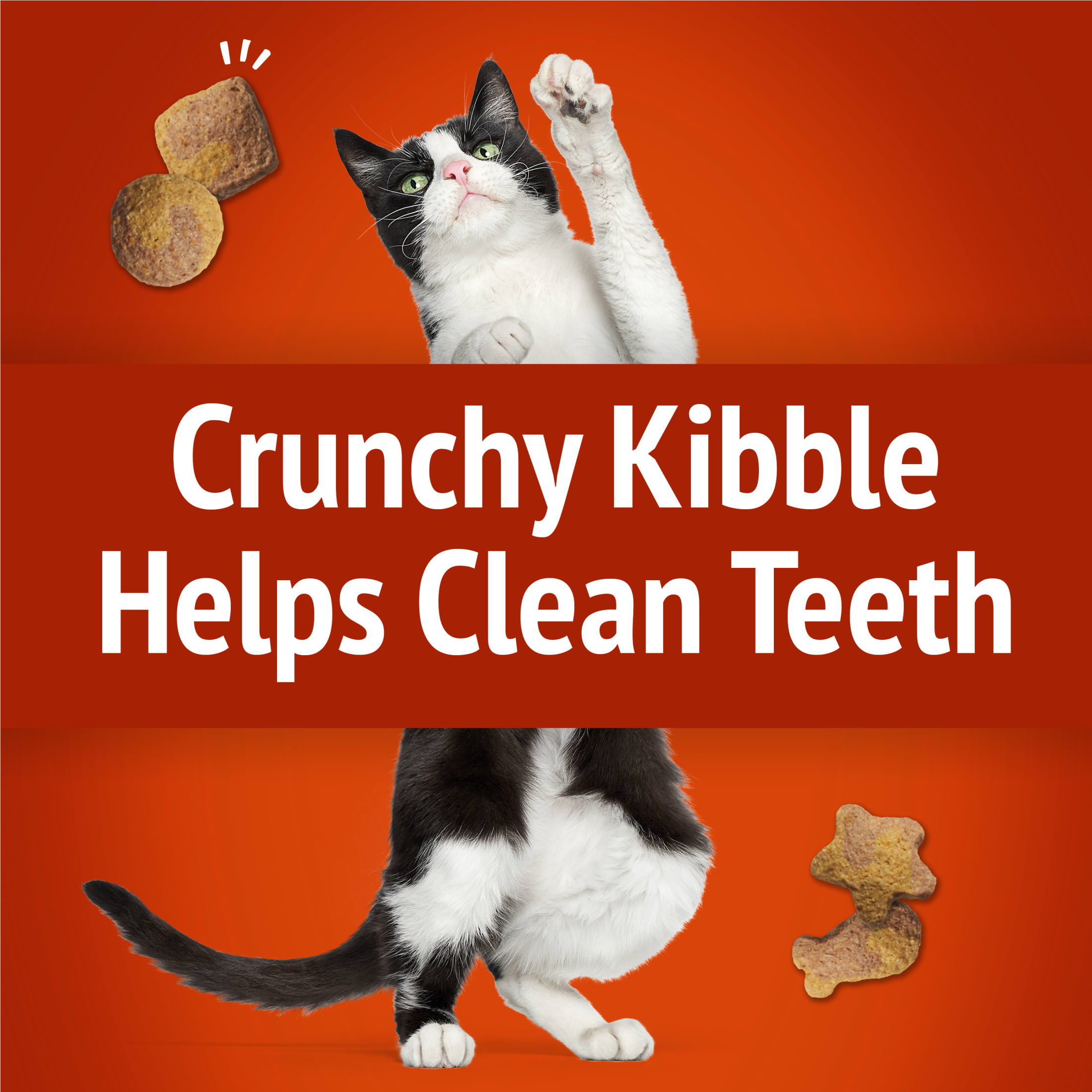 Friskies Party Mix Gravy-Licious Crunch Cat Treats photo 4