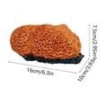 thumbnail image 4 of Tarmeek Aquarium Coral Ornament Resin Cave Hideout for Fish Tank Decor Medium Multicolor Hollow Design Safe for Betta Rest Hide Play Breed 16x10cm Easy to Clean, 4 of 7