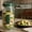 Green GN, variant on AuroraX Plastic Bear Salad Jar Meal Prep Container BPA Free Leak Proof Dishwasher Safe with Scale for Outdoor Picnic Brown