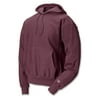 Champion Men's Reverse Weave 12 oz. Pullover Hood