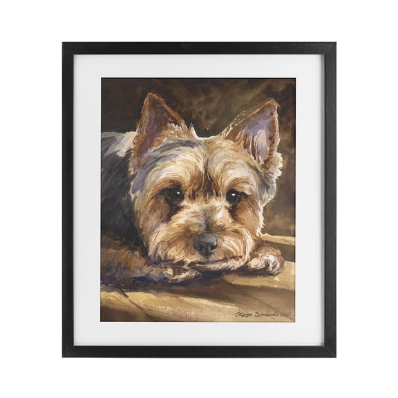 Stupell Industries Yorkshire Terrier Portrait Black Framed Print Under Glass, design by George Dyachenko