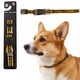 thumbnail image 1 of Collar NFL para perro raza mediana Pittsburgh Steelers 100% oficial, 1 of 6
