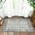 thumbnail image 4 of BERTHMEER 2'x3' Small Area Rugs Washable for door Entryway Bedroom indoor Distressed Rugs, Gray, 4 of 4