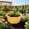 thumbnail image 5 of Shallow Succulent Plant Pots, Shallow Planter with Tray and Drainage Holes, Decorative Plastic Planters for Indoor and Outdoor Gardening, Succulent pots for Succulents Cactus and Herbs, 5 of 6