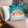 thumbnail image 1 of Ahgly Company Animals Rabbit Outdoor Throw Pillow, 18 inch by 18 inch, 1 of 6