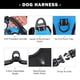 thumbnail image 4 of Arnés para perros PHOEPET, chaleco reflectante ajustable sin tirones, L, azul, 4 of 6