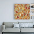 thumbnail image 3 of Trademark Fine Art 'Harvest Village Pattern VIII' Canvas Art by Laura Marshall, 3 of 3