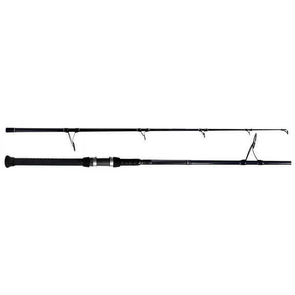 Tsunami TSAWESS-1002XH Airwave Elite Saltwater Surf Spinning Rod 10', 2pc