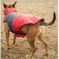 thumbnail image 6 of Touchdog ® Lightening-Shield 2-in-1 Dual-Removable-Layered Waterproof Dog Jacket, 6 of 9