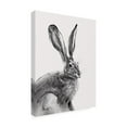 thumbnail image 2 of Emma Caroline 'Wild Hare II' Canvas Art, 2 of 3