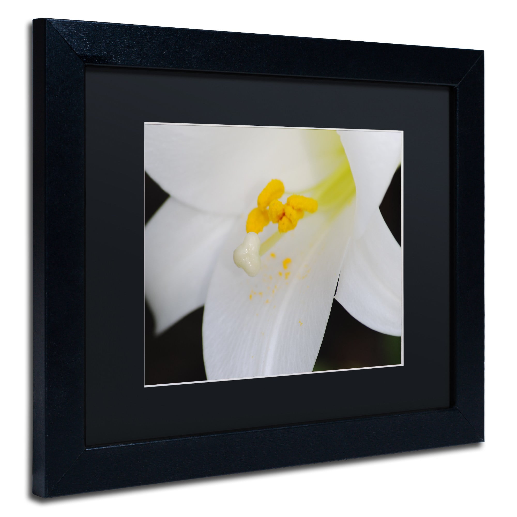 Trademark Fine Art "One Word" Canvas Art by Monica Mize, Black Matte, Black Frame