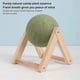 thumbnail image 5 of Catnip Toys for Cats Multifunctional Interactive Catnip Toy Cat Floor, 5 of 5