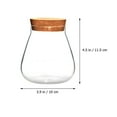 thumbnail image 2 of LEEYNEER Decorative Glass Plant Terrarium with Cork Stopper  Light Brown, 2 of 6