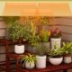 thumbnail image 1 of Luces de cultivo de panel ultra delgado USB luces de cultivo de espectro completo con lámpara de cultivo de planta de temporizador emblemable para plantas de interior, 1 of 8