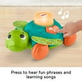 thumbnail image 4 of Fisher-Price Linkimals Sit-to-Crawl Sea Turtle Interactive Learning Toy with Rolling Motion for Infants, 4 of 7