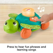 Fisher-Price Linkimals Sit-to-Crawl Sea Turtle Interactive Learning Toy with Rolling Motion for Infants