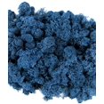 thumbnail image 5 of Super Moss 25128 Mousse de Renne Bleu Royal, 5 of 5