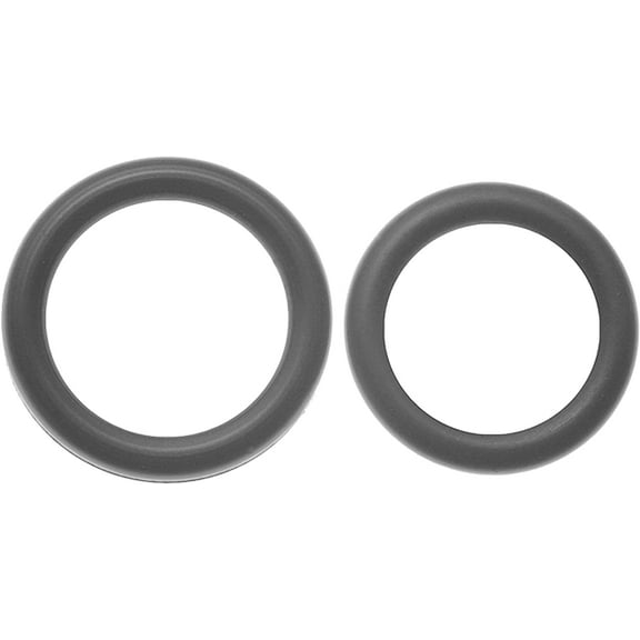 ACDelco GM Original Equipment Fuel Injection Fuel Rail O-Ring Kit with 2 O-Rings 217-461