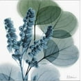 thumbnail image 2 of Lilly of Eucalyptus, Botanical Stretched Canvas Wall Art by Albert Koetsier  Sold by ArtCom, 2 of 5