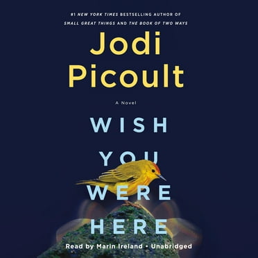 Wish You Were Here (Audiobook)