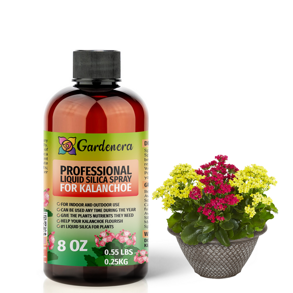 β PREMIUM Bioavailable Silica Fertilizer for Kalanchoe β 8oz β Ideal for Hydroponics & Soil β Healthier Plants with Strong Stalks - SPRAY