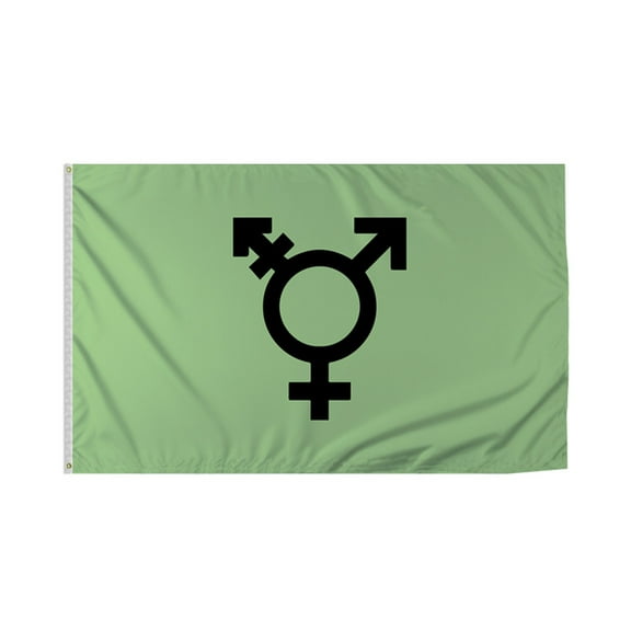 Promopatriot Israel Trans Pride Flag 4x6 Ft Printed 200D Nylon Brass Grommets Stitched Edges Fade Proof Sharp Vivid Colors